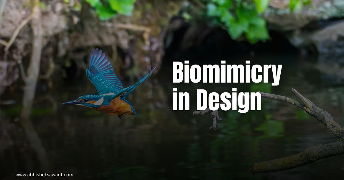 Biomimicry in Design: What Nature Can Teach Us About Innovation